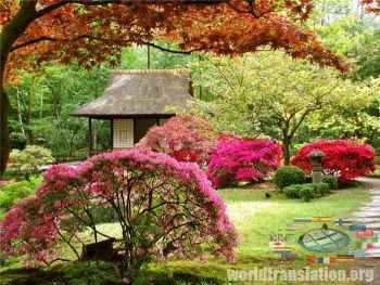 Garden in the Japanese style