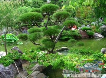 Garden in the Japanese style