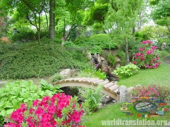 Garden in the Japanese style