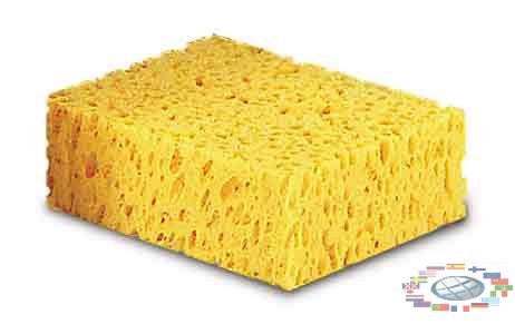 sponge