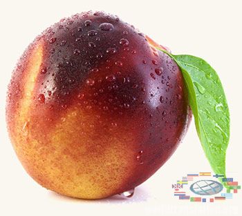 nectarine