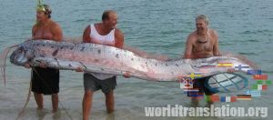 Giant Oarfish