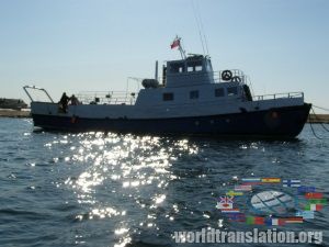 Hunting on the shark boat