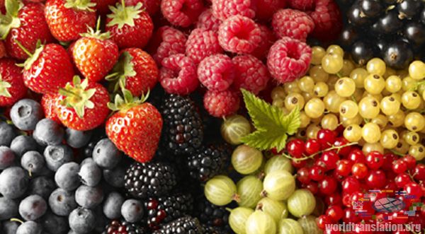 berry diet