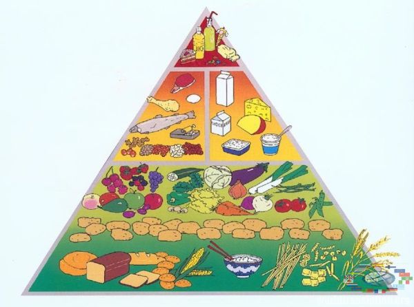 пирамида питание