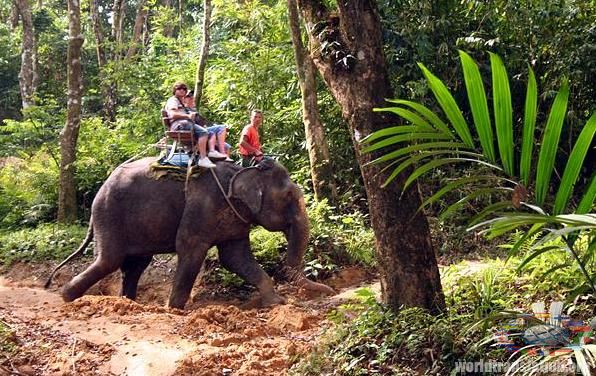 ride on the back of an elephant Phuket