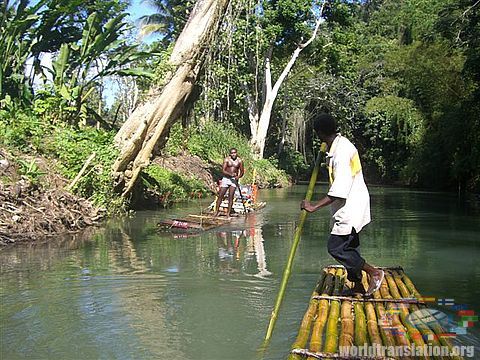 rafts of bamboo jamaica