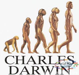 Происхождение видов Чарльз Дарвин