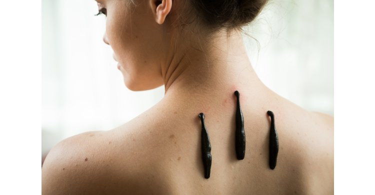 �������������