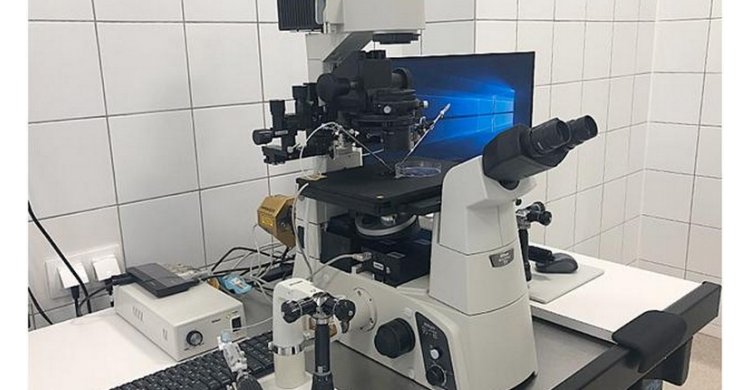  Микроскопы для ЭКО