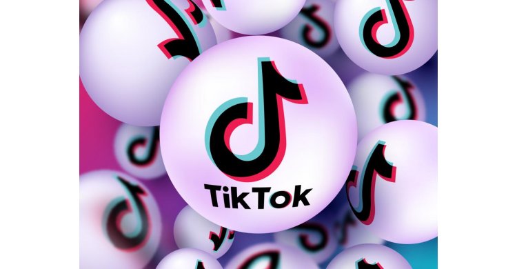 �������� ����������