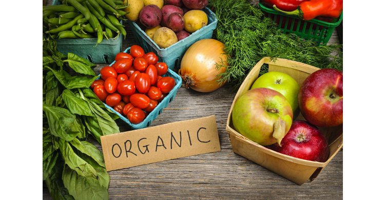 органические продукты