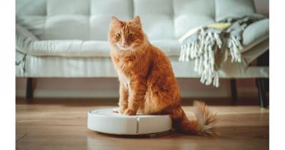 ������������ ��������