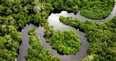 Бразилия: дикие джунгли Манауса