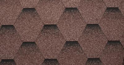 ��� ����� �������� ��������