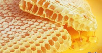 Какие есть разновидности меда?