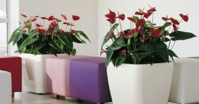 ����������� �����